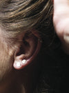 Wild shape Earrings // Sterling Silver